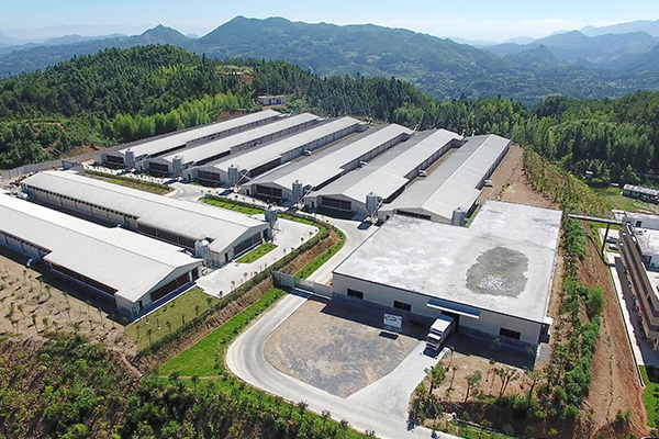 福建衫村现代农业集团
