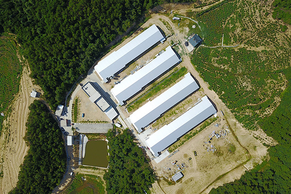 黄冈楚创交钥匙工程