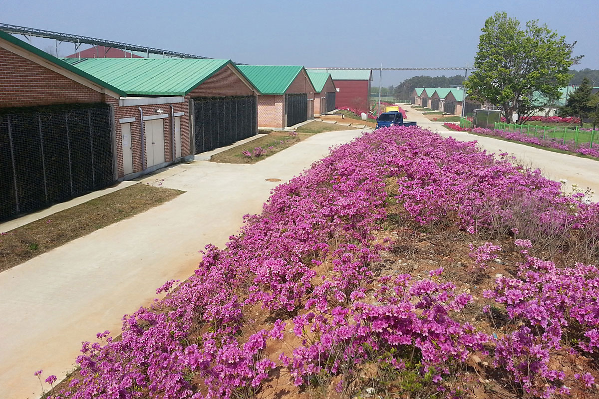 Abluftreinigung-Magixx-Bongdong-Agri-Nonsan_72.jpg Abluftreinigung-Magixx-Bongdong-Agri-Nonsan_72.jpg