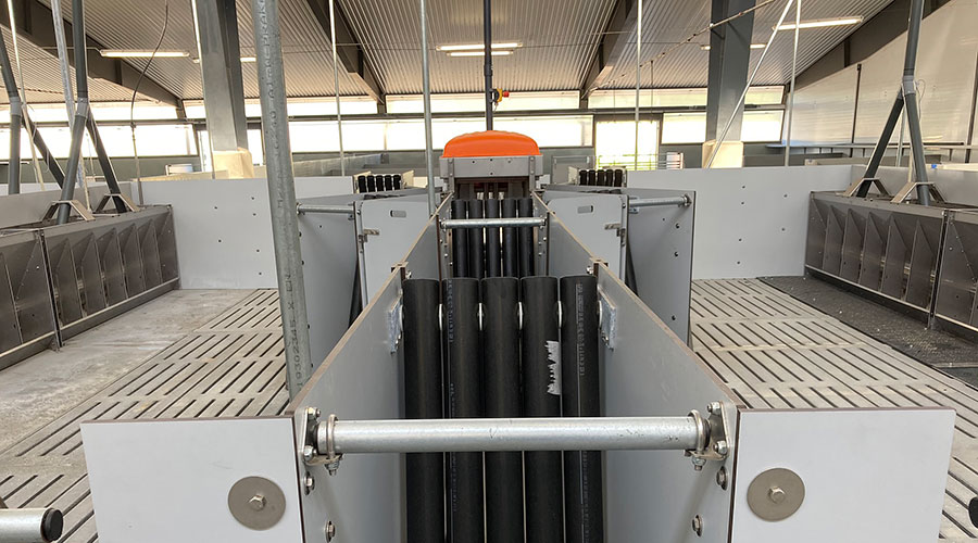 Schweinemast-pig-finishing-900-Stensager-DryWetFeeder-TriSort-Big-Dutchman.jpg