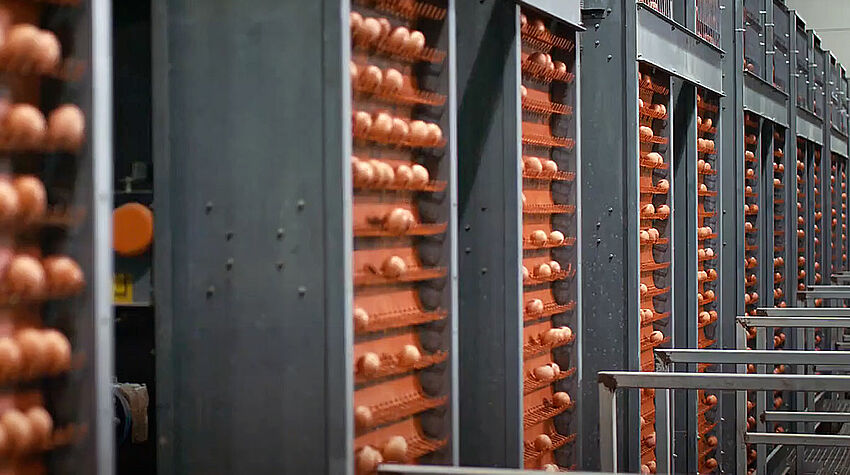 csm_Egg-production-lift-Ganong-Big-Dutchman_72_11094dc38d.jpg