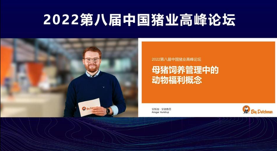 大荷兰人向中国业界分享母猪饲养管理中的动物福利