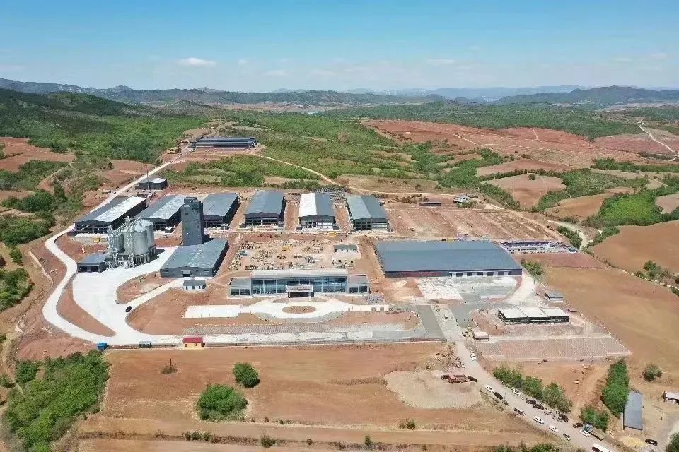 总投资6亿！辽宁韩伟蛋业300万羽蛋鸡项目建成投产