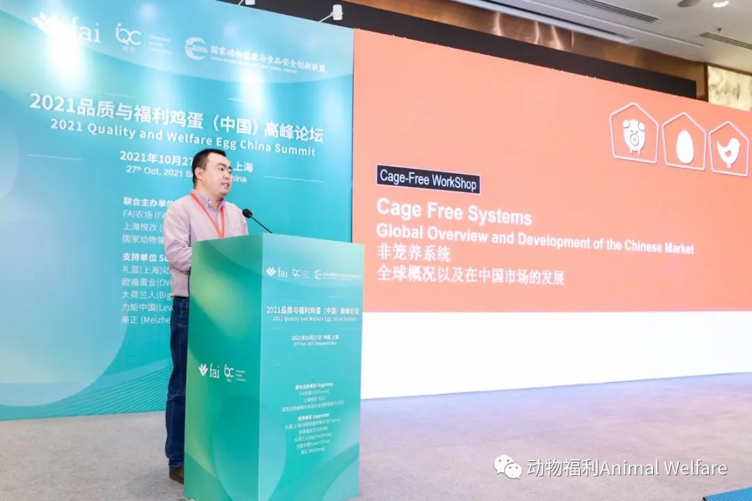 蛋鸡非笼养系统全球概况及在中国市场的发展