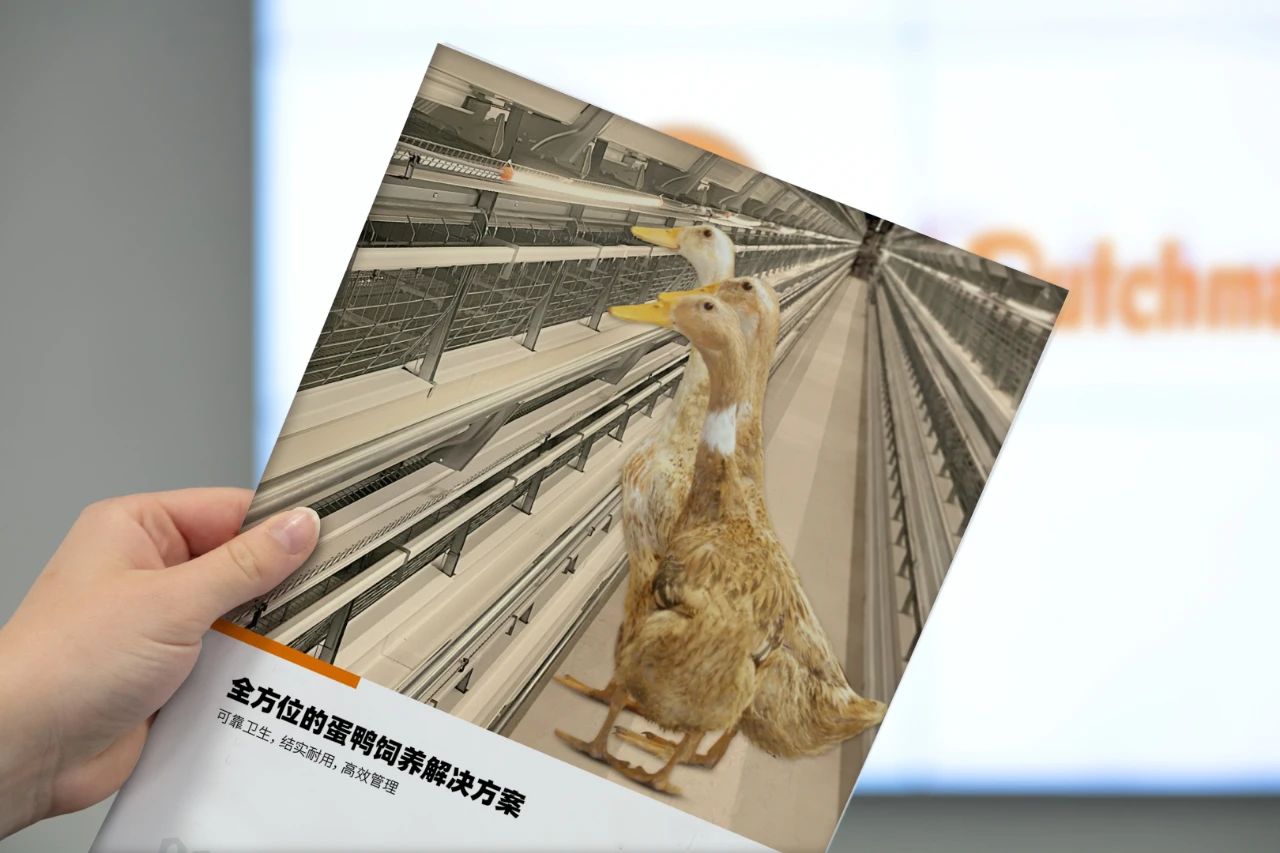 如何让“赶鸭上架”不再“强人所难”？大荷兰人告诉你答案。