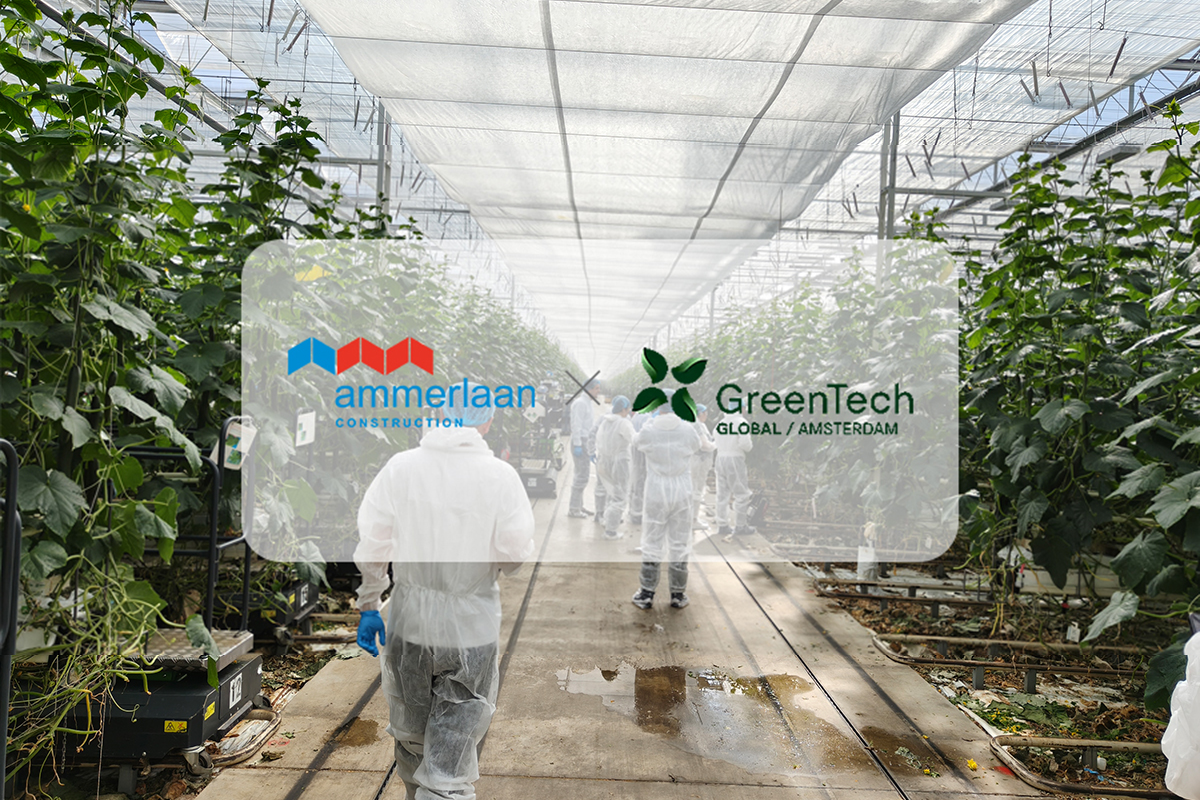 中国农业大咖探秘荷兰Ammerlaan智慧温室