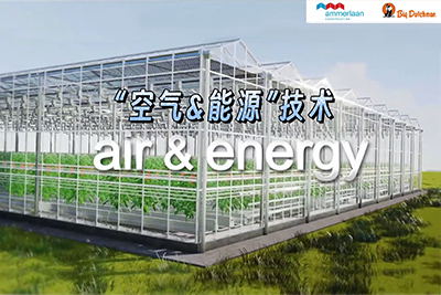 将Air & Energy热交换技术融入温室番茄生产实现全年鲜食供应