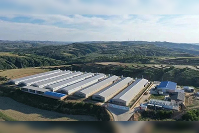 全记实：大荷兰人x 2025第二届非笼养蛋鸡发展大会